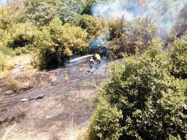 Osmaniyede orman yangını