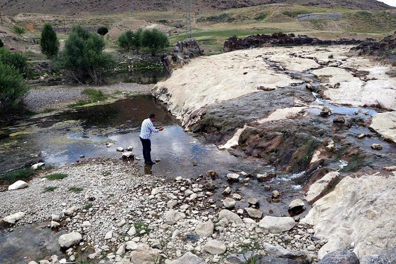 Binlerce yavru inci kefali göç yolunda öldü