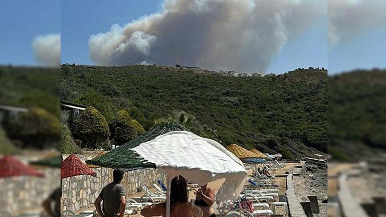 Son dakika... Muğlada orman yangını