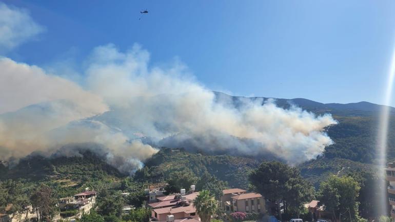 Hatay’da orman yangını: Yangın insan kaynaklı müdahale sürüyor