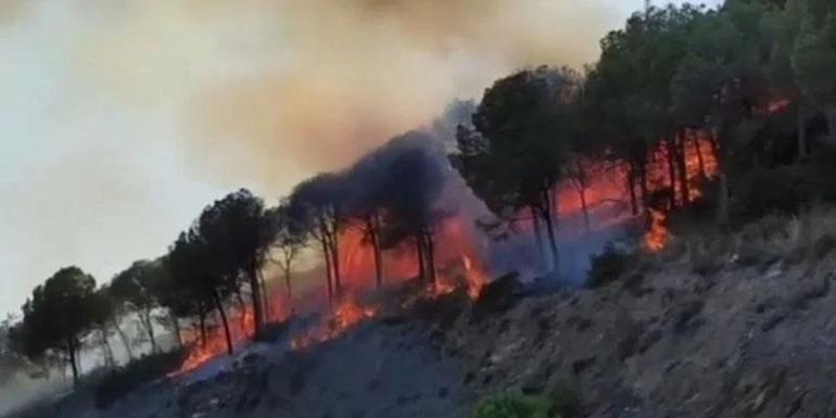 İzmir Selçukta orman yangını kontrol altına alındı