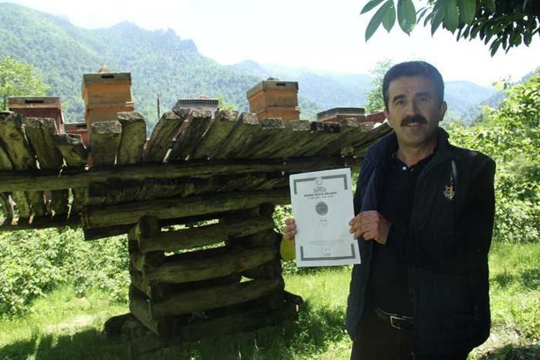 Giresun’da yüzyıllık arı çardakları tescillendi