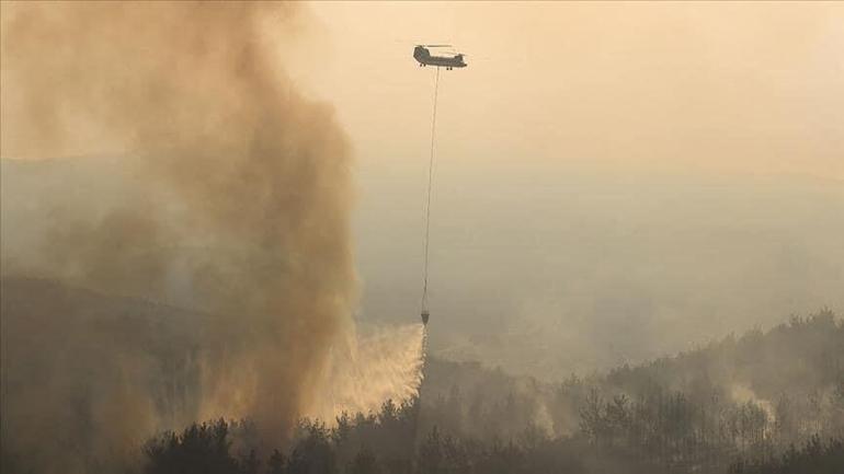 Tunus’ta orman yangını: 470 hektarlık alan küle döndü
