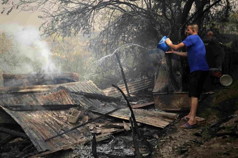 Cezayir’deki orman yangınlarında can kaybı 34’e yükseldi