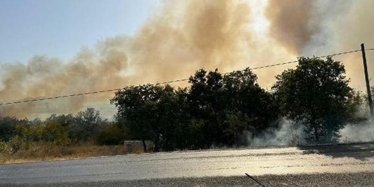 Çanakkalede orman yangını kontrol altına alındı