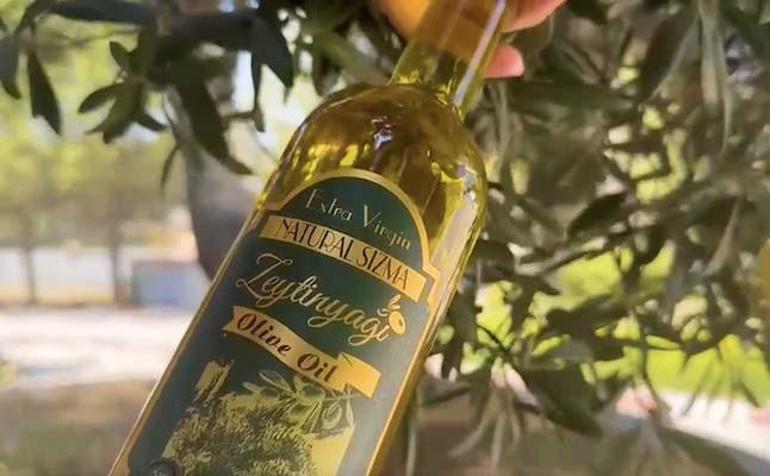 Muğlada maden sahaları zeytin bahçesine dönüştü