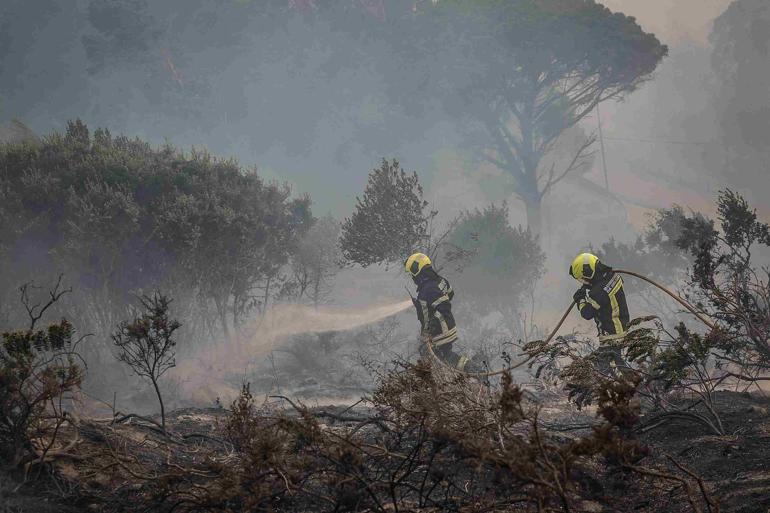 Portekiz’de orman yangını