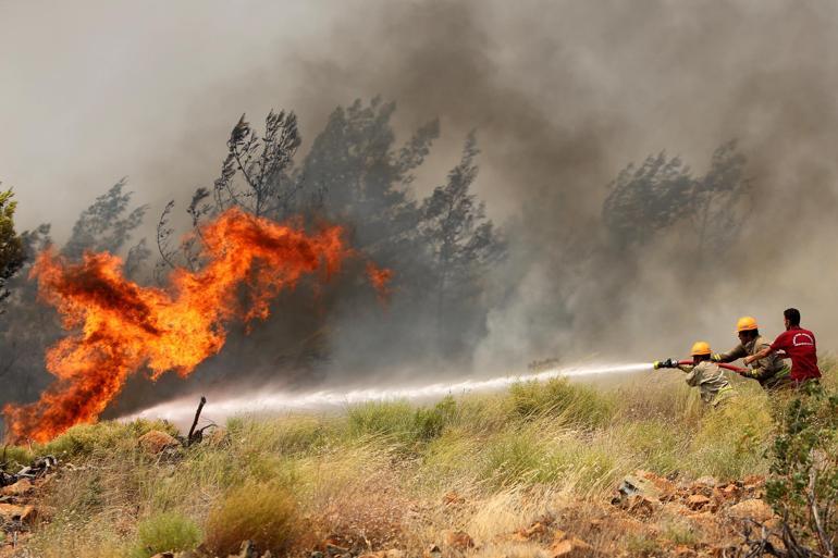 OGM orman yangınlarına karşı teyakkuzda bekliyor