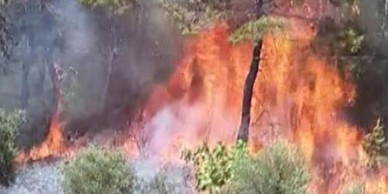 Sabotaj mı var Muğladaki yangının çıkış anı ortaya çıktı