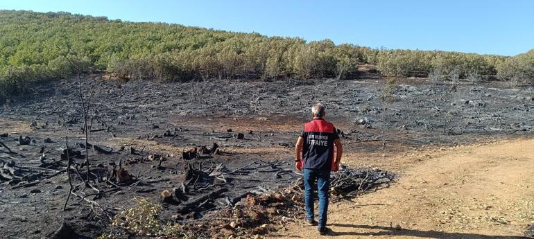 Malatya ve Siirt’te orman yangını Biri 7 diğeri 15 saatte kontrol altına alındı