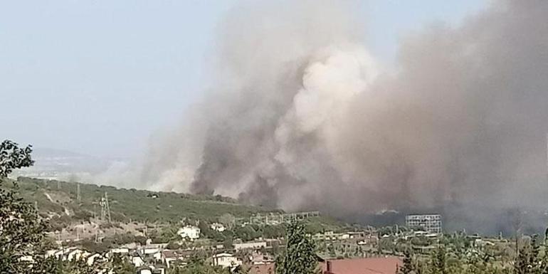 Gebze TÜBİTAK yerleşkesinde orman yangını: 10 hektar alan yandı