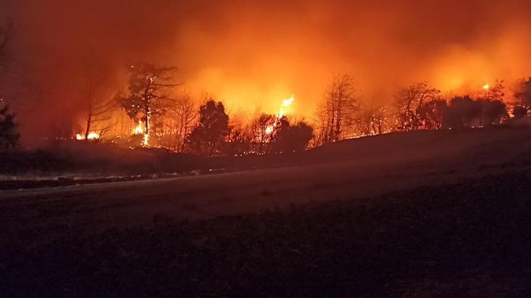 Çanakkalede orman yangını 9 köy boşaltıldı