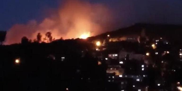 Son dakika: İstanbul Maltepedeki orman yangını kontrol altına alındı