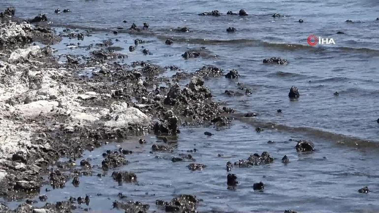 Van Gölü’nde su çekildi mikrobiyalitler görüldü