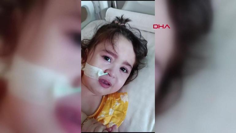 SMA hastası bebeğin kampanya kumbarası çalındı