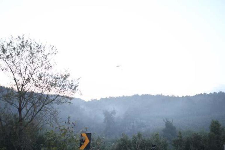 Ciğerlerimiz yanıyor Bursada orman yangını