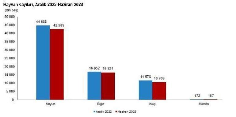 TÜİK: 2023te büyükbaş ve küçükbaş hayvan sayısı azaldı