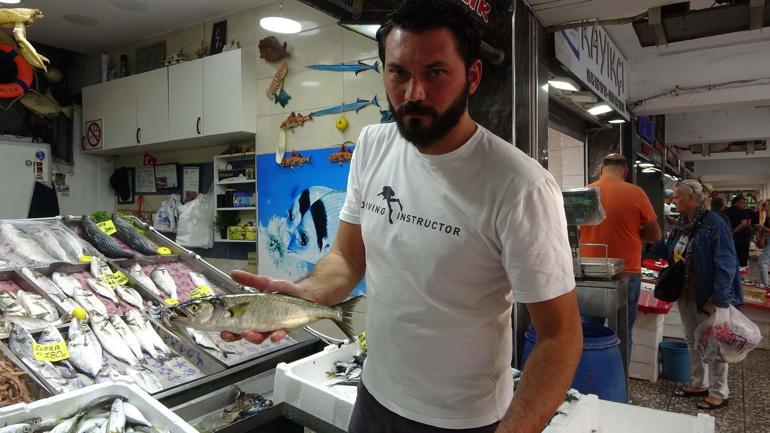 Çanakkalede denizin prensi lüfer, kilosu 600 TL’den tezgahtaki yerini aldı