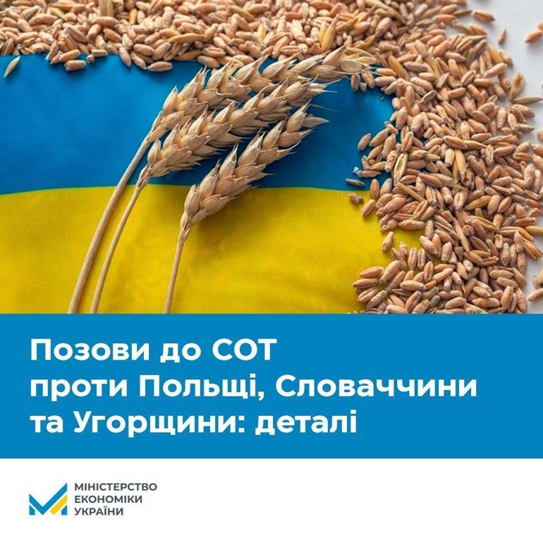 Ukrayna, tarım ürünleri ithalatını yasaklayan Slovakya, Polonya ve Macaristana dava açtı