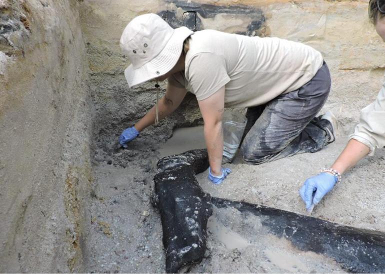 Arkeologlardan heyecanlandıran keşif: 500 bin yıllık ahşap yapı bulundu! -  Son Dakika Dünya Haberleri
