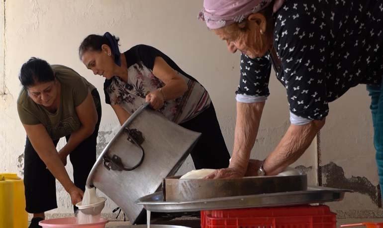 Kıbrıs’ın binlerce yıllık tarihi helliminin sütten sofralara geliş hikayesi Hellim peyniri asıl yapılıyor İşte adım adım hellimin hikayesi