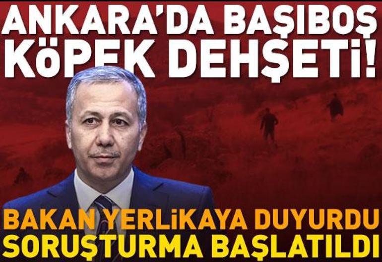 8 Aralık 2023 Cuma gününün son dakika önemli gelişmeleri (CNN TÜRK 16.30 bülteni)