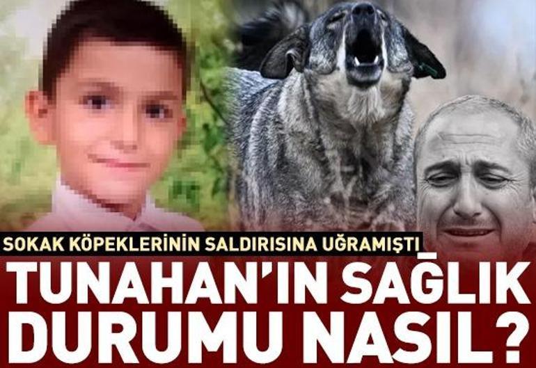 11 Aralık 2023 Pazartesi gününün son dakika önemli gelişmeleri (CNN TÜRK 11.30 bülteni)