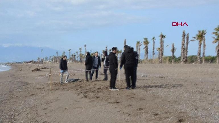 Antalya’da kıyıya vuran cesetlerden biri kayıp Merve’ye ait