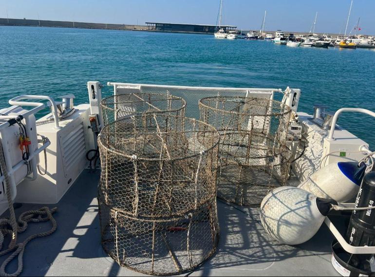 Sahil güvenlik ekiplerinden su altında kafes avı: Balıklar serbest bırakıldı