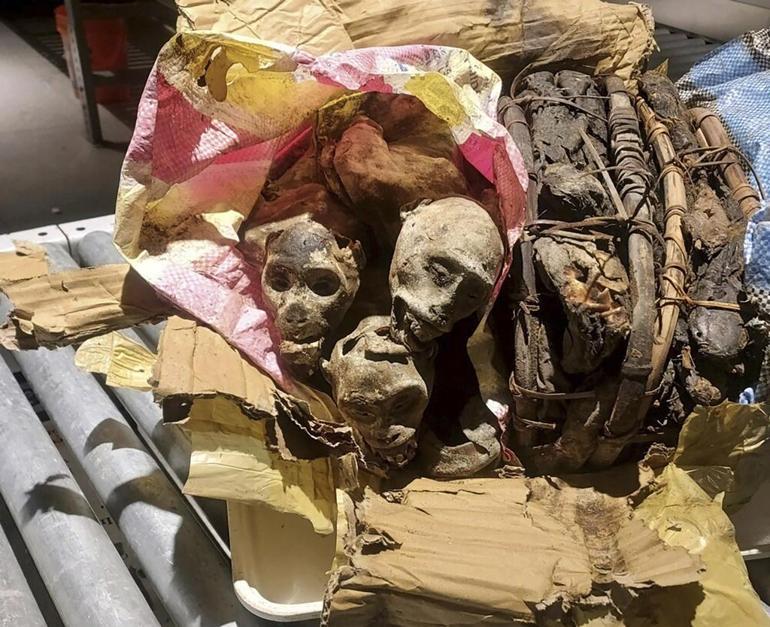 Havalimanı çalışanları şoke oldu: Bavulun içinden mumyalanmış maymun kalıntıları çıktı
