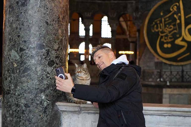 Ayasofyanın sevimlisi kedisi turistlerin gözdesi oldu