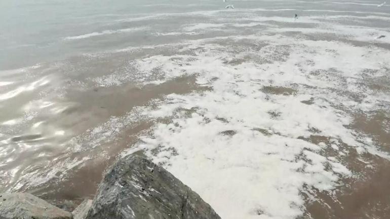 Beylikdüzü’nde mahallelerden gelen atık su denize bırakılıyor… CNN TÜRK o bölgeyi görüntüledi