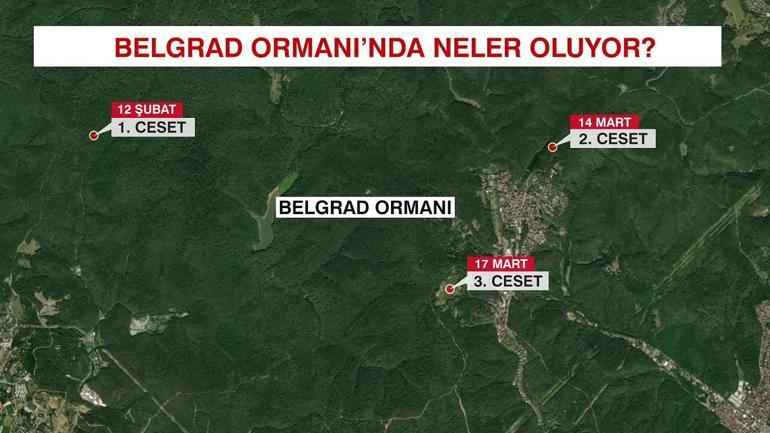 Belgrad Ormanında neler oluyor 35 günde 3 ceset bulundu