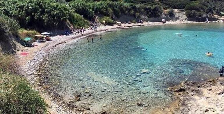 İzmir’deki cennet Ayıbalığı Koyu Burada Akdeniz foklarından görebilirsiniz