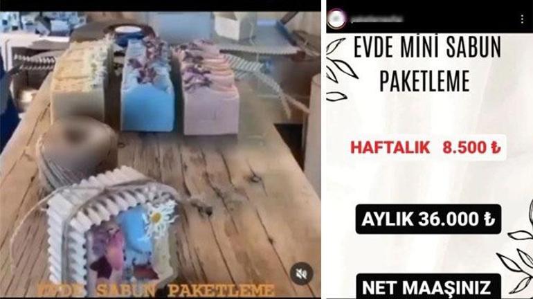 Dolandırıcıların hedefi ev hanımları: 36 bin lira maaş vaat edip tuzaklarına düşürüyorlar