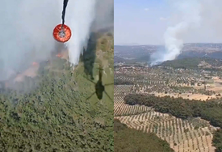 Ciğerlerimiz yanıyor Adana ve İzmirde orman yangını: Ekipler müdahale ediyor