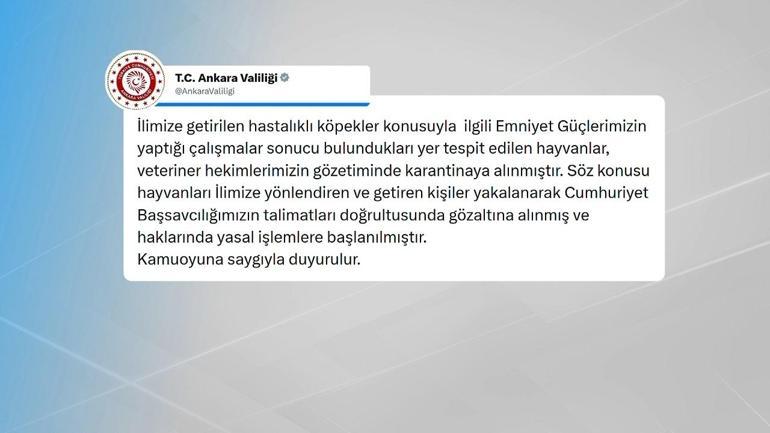 Ankarada kuduz köpek soruşturması