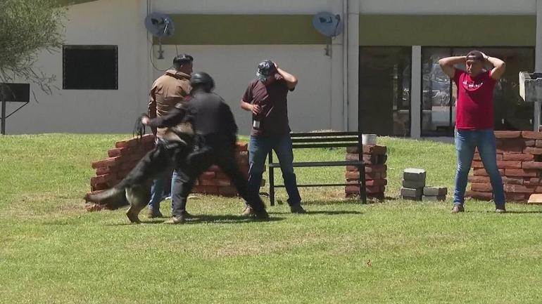 Onore edilen köpekler Muazzam öneme sahip bir güç