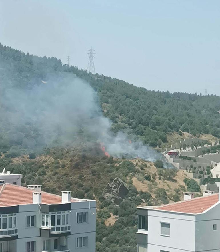 Son dakika... İzmir ve Çanakkalede orman yangını