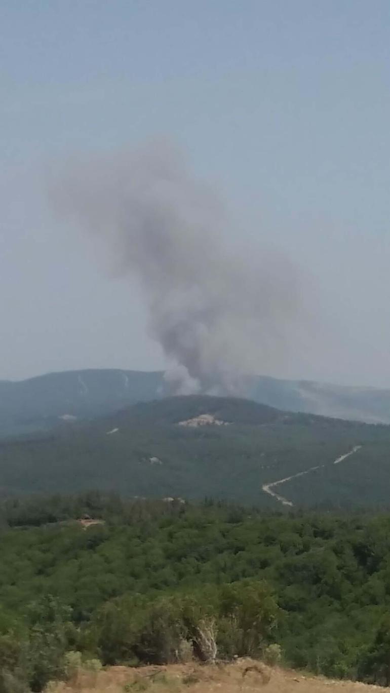 Son dakika... İzmir ve Çanakkalede orman yangını
