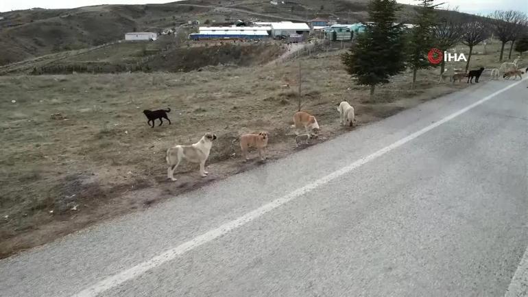 AK Parti Kızılcahamamda kampa giriyor