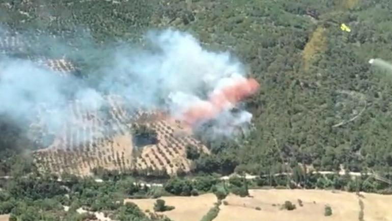 Son dakika haber: Çanakkale, Bursa ve İzmirde orman yangını Son durum ne