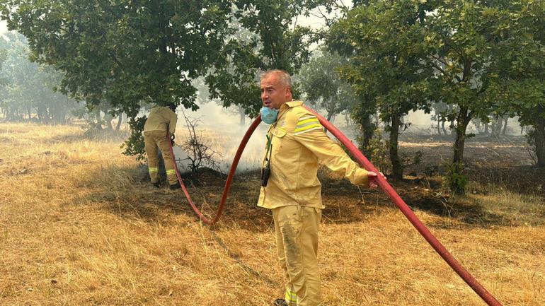 Bulgaristan sınırındaki ormanda yangın