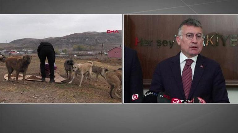 HABER.... Saldırgan köpek sorunu nasıl çözülecek AK Partili Gülerden açıklama: 17 maddelik kanun teklifi hazırladık