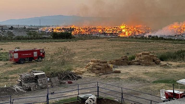 Aydında kağıt fabrikasında çıkan yangına müdahale ediliyor