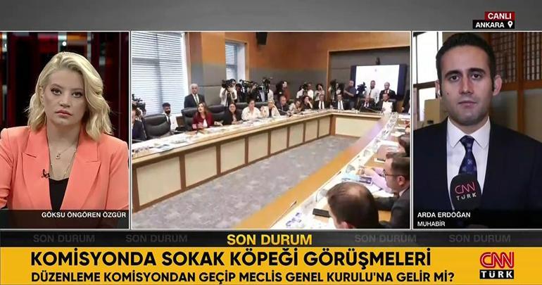 SON DAKİKA HABERİ: Saldırgan sokak köpeği düzenlemesi komisyondan geçti mi