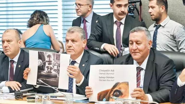 Tansiyon yükseldi: Görüşmeler 18 saat sürdü Sokak hayvanları teklifinde 3 madde kabul edildi