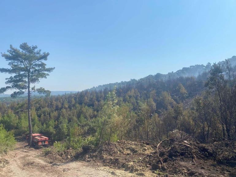 Çanakkale Ayvacıktaki orman yangını 2nci gününde