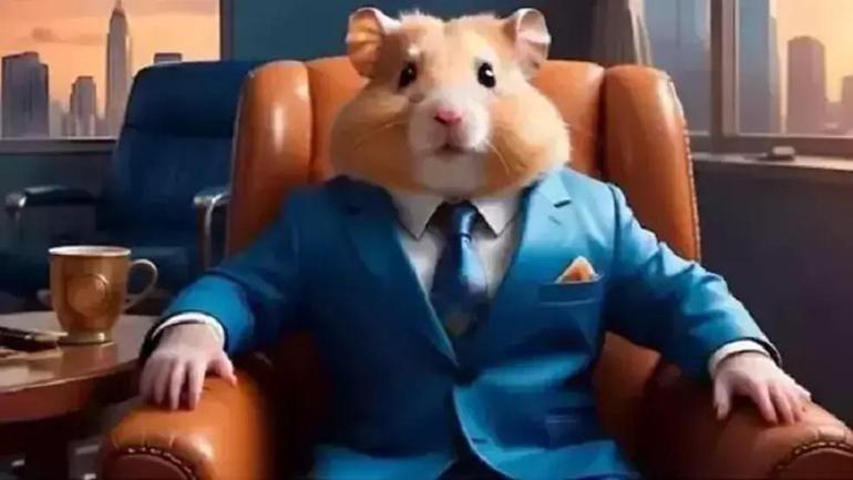 HAMSTER KOMBAT GÜNLÜK ŞİFRE 27 TEMMUZ 2024: Hamster Kombat günlük kombo kartları (Nasıl Açılır, Bulunur ve Yapılır Detaylı Anlatım)