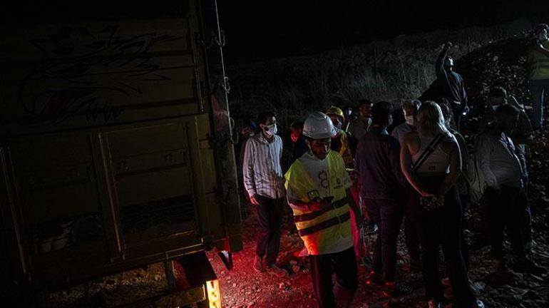 Ankarada barınak yakınında ölü hayvanlar bulunmuştu: Savcılık harekete geçti